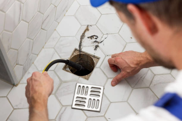 How Tree Roots Cause Drain Clogs And What Plumbers Do San Bernardino, CA How Tree Roots Cause Drain Clogs And What Plumbers Do San Bernardino, CA